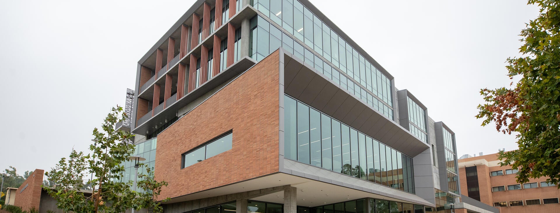 homepage Planning, Design & Construction